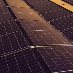 solar, panels, solar energy, solar panels, energy, power, generation, device, solar, solar, solar energy, solar panels, solar panels, solar panels, solar panels, solar panels